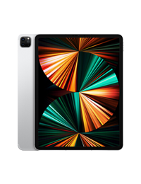 Apple iPad Pro 12.9英寸平板电脑 2021年款(2TB 5G版)